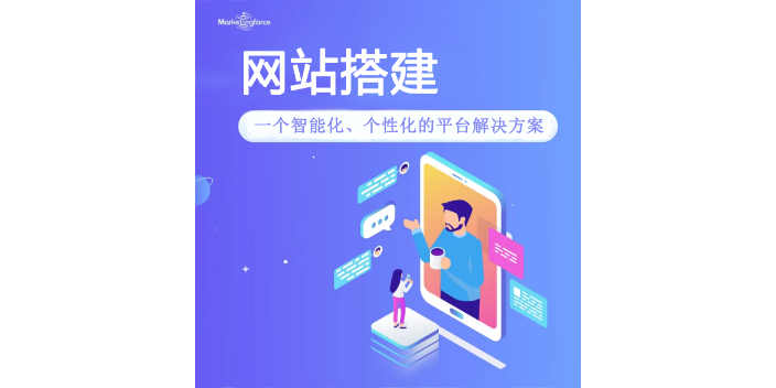 三亚营销型网站搭建 重塑数字商铺，服务至上，助您智赢海南利物朗市场